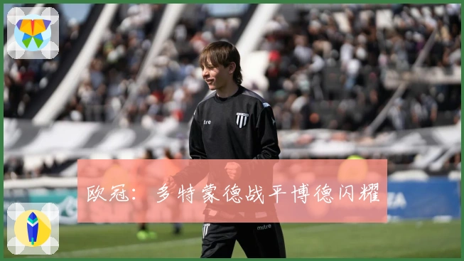 欧冠：多特蒙德战平博德闪耀