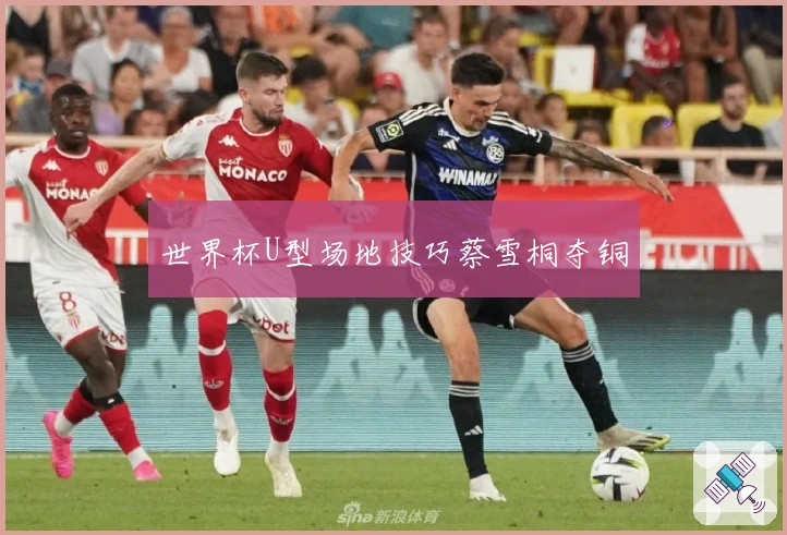 世界杯U型场地技巧蔡雪桐夺铜